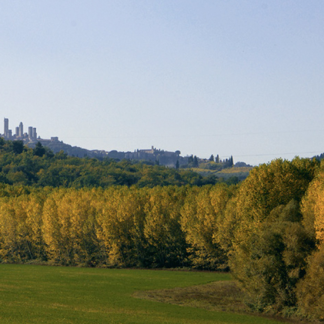 Screenshot 2024-09-03 alle 09.31.09