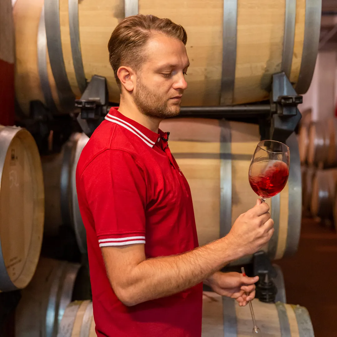 2020_10_03_Cantine_Piccini_Geografico-78